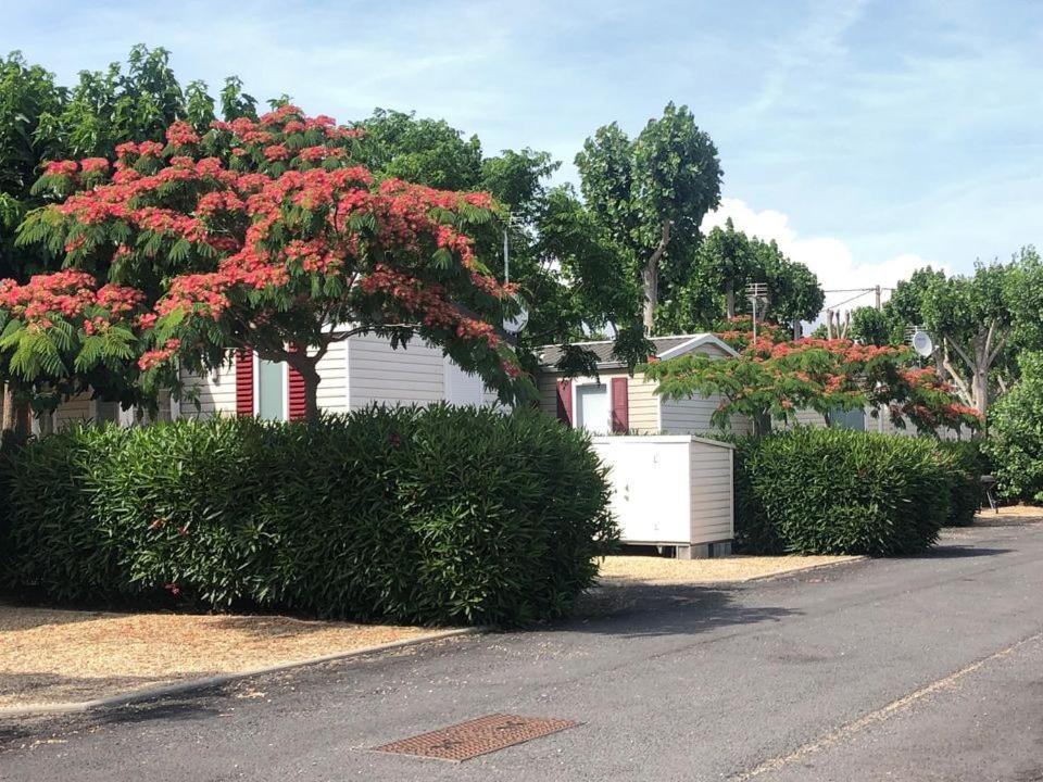 Mobil Home Au Precieux Valras-Plage Exterior foto